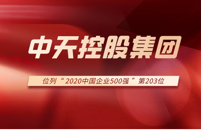 九游老哥集团列2020中国企业500强第203位！